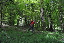 066-verso_il_M__Gazzaro.JPG