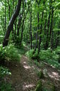 070-M__Gazzaro.JPG
