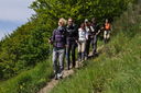 080-verso_il_P_so_dell_Osteria_Bruciata.JPG