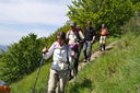 082-verso_il_P_so_dell_Osteria_Bruciata.JPG