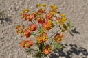 095-verso_il_M__Alto.JPG