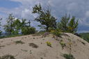 097-verso_il_M__Alto.JPG
