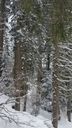 20150215_104108.jpg