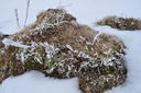 DSC_0019.JPG