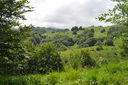 DSC_0037.JPG