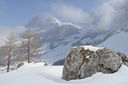 DSC_0061~0.JPG