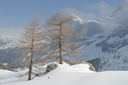 DSC_0068.JPG