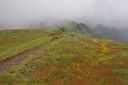 DSC_0080_-_inizio_giugno.JPG
