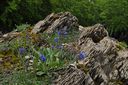 DSC_0082__-_inizio_giugno.jpg