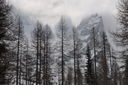 DSC_0083~0.JPG