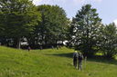 DSC_0099.JPG