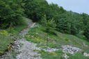 DSC_0113.JPG