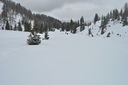 DSC_0116.JPG