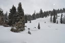 DSC_0119.JPG