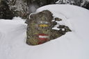 DSC_0123.JPG