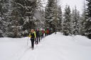 DSC_0124.JPG
