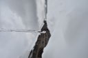 DSC_0144~0.JPG