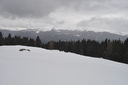 DSC_0154.JPG