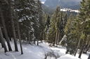 DSC_0160.JPG