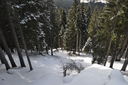 DSC_0161.JPG