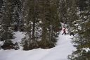 DSC_0166b.jpg
