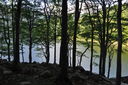 DSC_0228.JPG