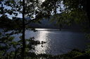 DSC_0246.JPG