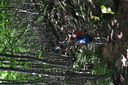 DSC_0252.JPG