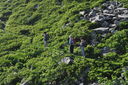 DSC_0262.JPG