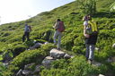 DSC_0267.JPG