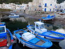 P1020364~1.JPG