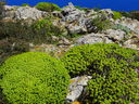 P1020394~1.JPG