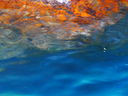 P1020449~0.JPG