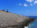 P1020477~0.JPG