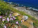 P1020484~0.JPG