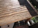 DSC01610.JPG