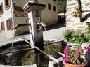 DSC01731.JPG