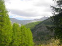 IMGP3441.JPG