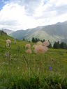 IMGP3446.JPG