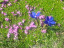 IMGP3549.JPG