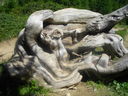 IMGP3882.JPG