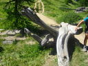 IMGP3884.JPG