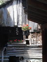 DSC08451.JPG