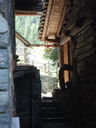 DSC08452.JPG