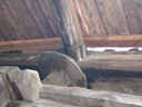 DSC08453.JPG