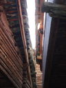 DSC08454.JPG