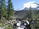 DSC08466.JPG