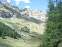 DSC08486~0.JPG