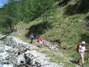 DSC08487.JPG