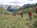 DSC08497.JPG